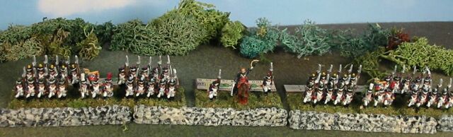 A sneak preview of LSNC Napoleonics